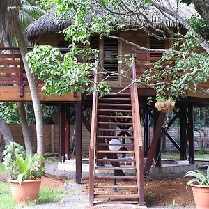 Insolite Ara Wakan / Ma Chalet Pointe-Noire
